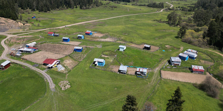 Uluyayla'da ilkbahar manzarası havadan görüntülendi