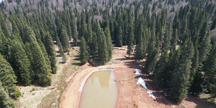Bartın ve Karabük yaylalarında ilkbahar güzelliği