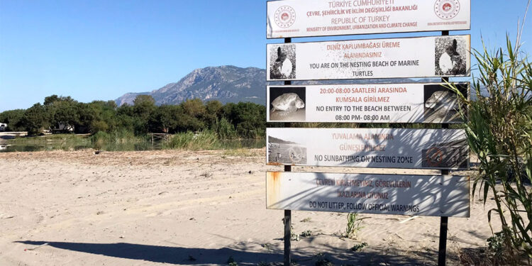 İztuzu-Patara-Çıralı sahillerine gece girişin cezası 557 bin 212 TL