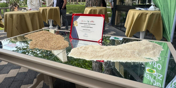 Balıkesir'in 2 ürününe daha 'coğrafi işaret' belgesi