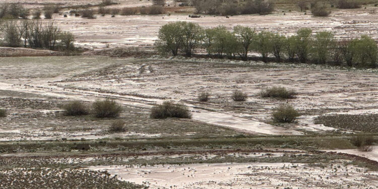 Çankırı'da etkili olan sağanakta 8 bin dönüm tarım alanı zarar gördü