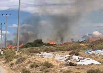 Çanakkale'de otluk yangını