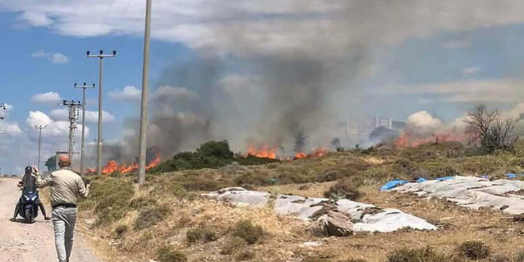 Çanakkale'de otluk yangını