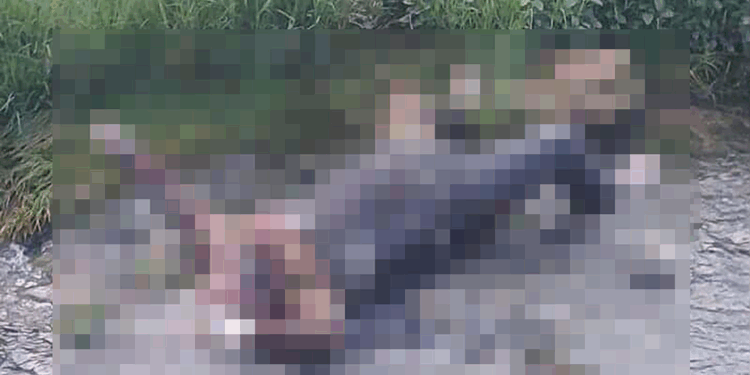 Cezaevinden izinli çıktı, dere yatağında ölü bulundu