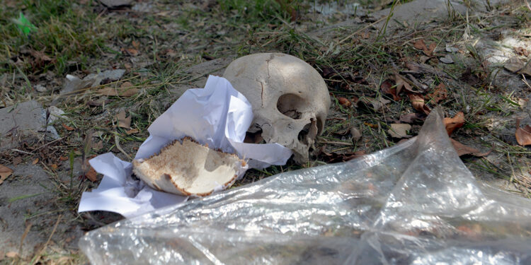 Çöpte bulunan kafatasını, uzman doktorun temizlik yapan eşi atmış