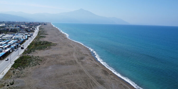 Deprem, deniz kaplumbağalarını izleme ve koruma çalışmalarını da vurdu