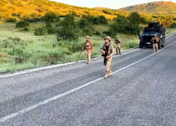 Diyarbakır'da 7 milyon 543 bin 818 kök kenevir ele geçirildi