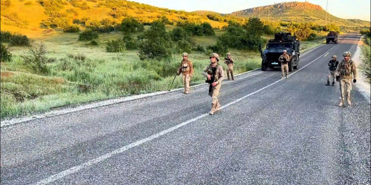 Diyarbakır'da 7 milyon 543 bin 818 kök kenevir ele geçirildi