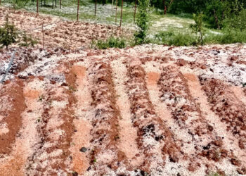 Diyarbakır'da dolu etkili oldu, bağ ve bahçeler zarar gördü