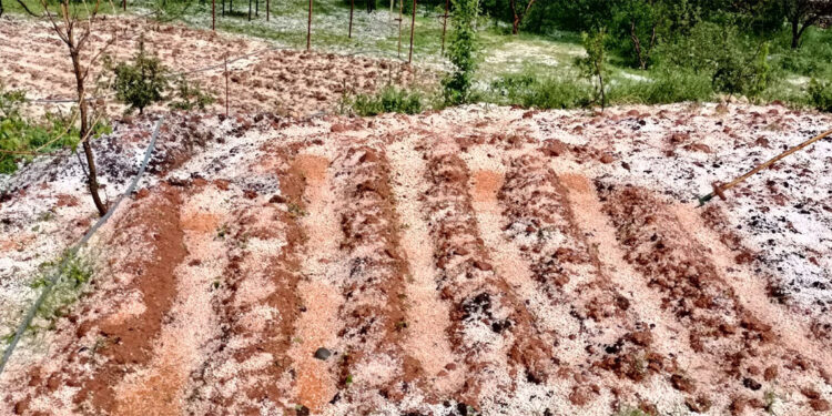 Diyarbakır'da dolu etkili oldu, bağ ve bahçeler zarar gördü