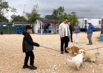 Emekli Hayvanlar Çiftliği'nde hayvanları günübirlik sahipleniyorlar