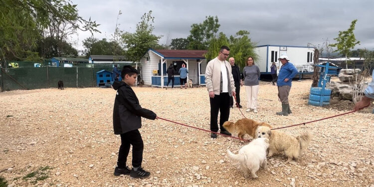 Emekli Hayvanlar Çiftliği'nde hayvanları günübirlik sahipleniyorlar