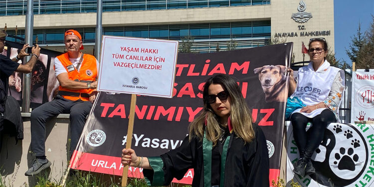 AYM sokak hayvanları yasasının iptalini reddetti
