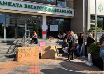 Ankara'da hayvanseverlerden 'ölü köpek' ile eylem