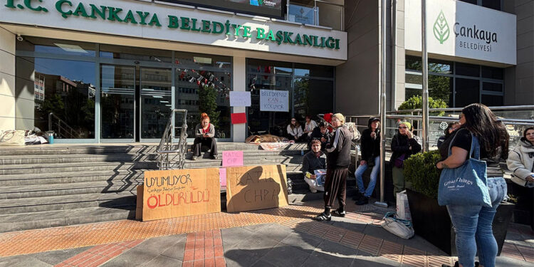 Ankara'da hayvanseverlerden 'ölü köpek' ile eylem