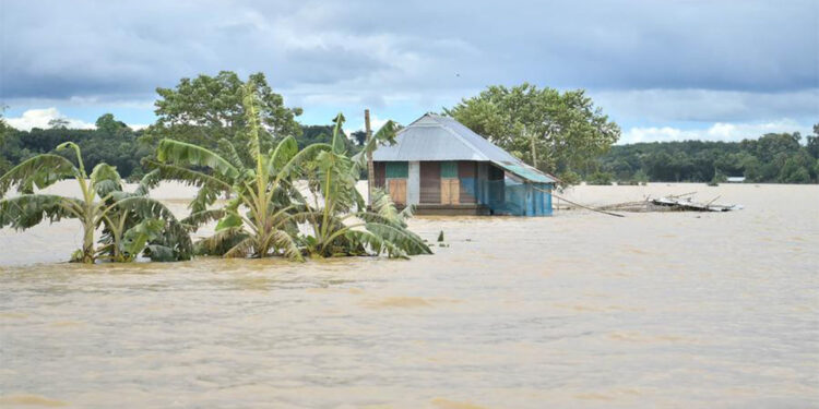 Hindistan'da şiddetli yağış; 14 ölü