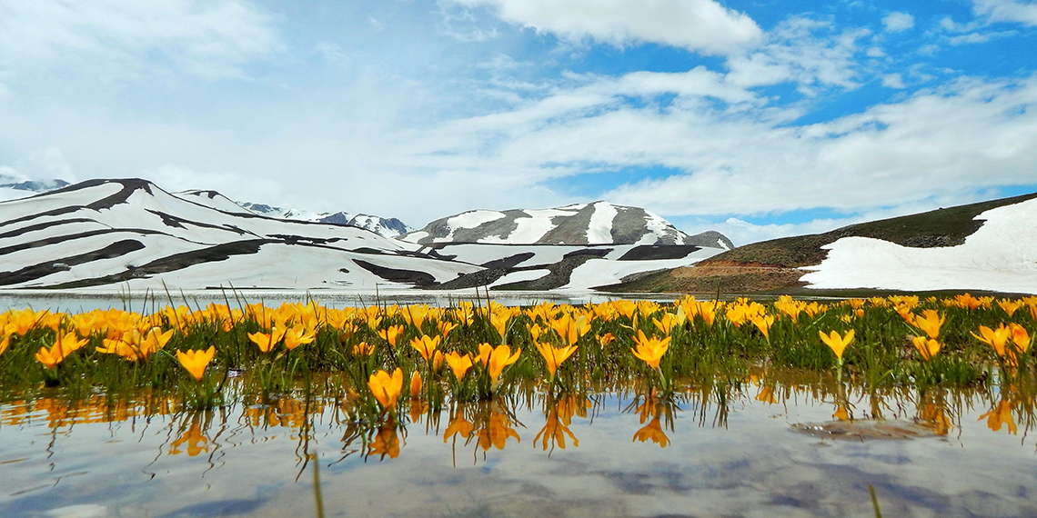 Harap edilen Eğrigöl Yaylası, bu bahar çiçeksiz kaldı