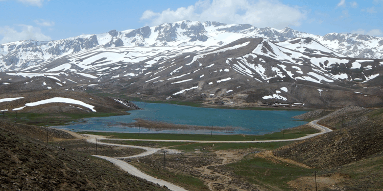 Harap edilen Eğrigöl Yaylası, bu bahar çiçeksiz kaldı