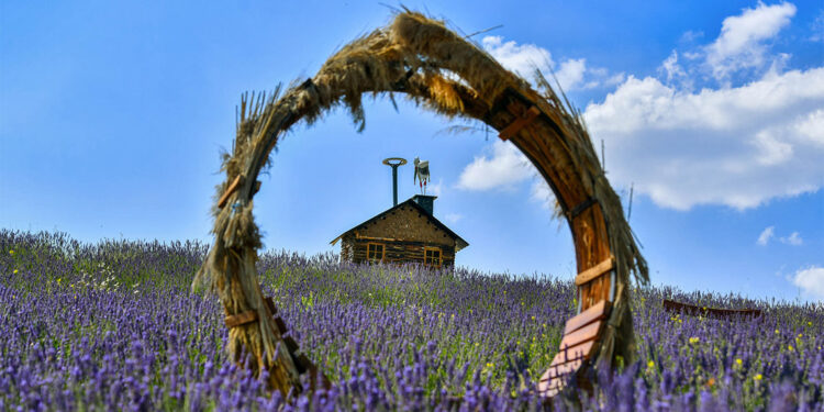 ATA Çiftliği Başkentlileri bekliyor