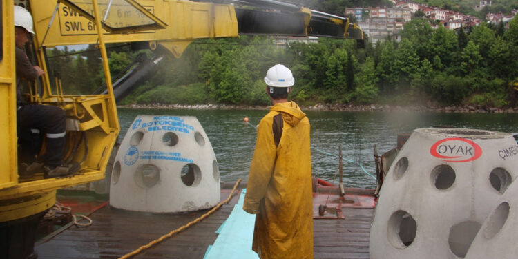 İzmit Körfezi'ne 6 bin balık ile 100 yapay resif bırakıldı