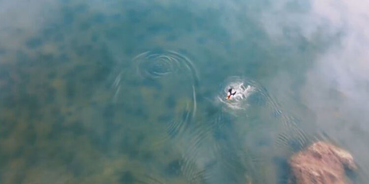 Kahramanmaraş Geben Vadisi milli park statüsüne alındı