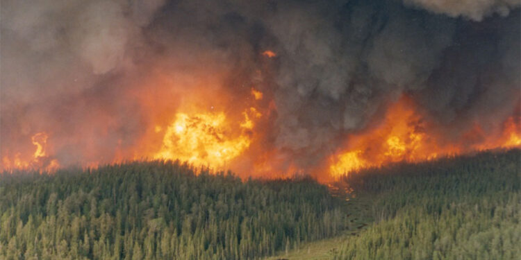 Kanada'da orman yangınları nedeniyle olağanüstü hal ilan edildi