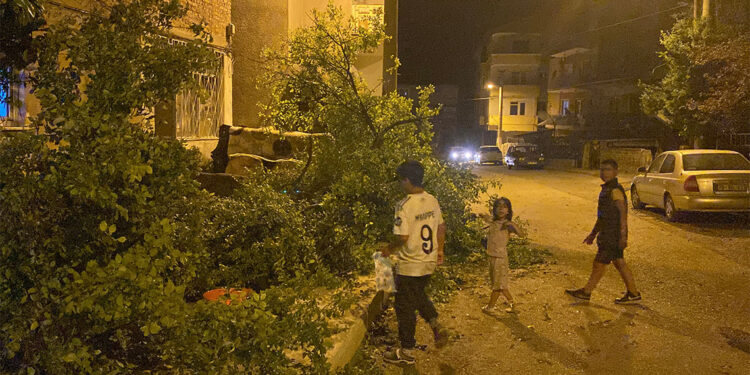 Karabük'te fırtınada ağaçlar devrildi