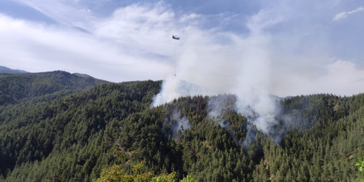 Kahramanmaraş'ta ormanda yangın çıktı