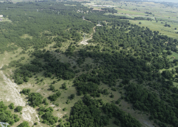Kırklareli'nde ormanlara girişler yasaklandı
