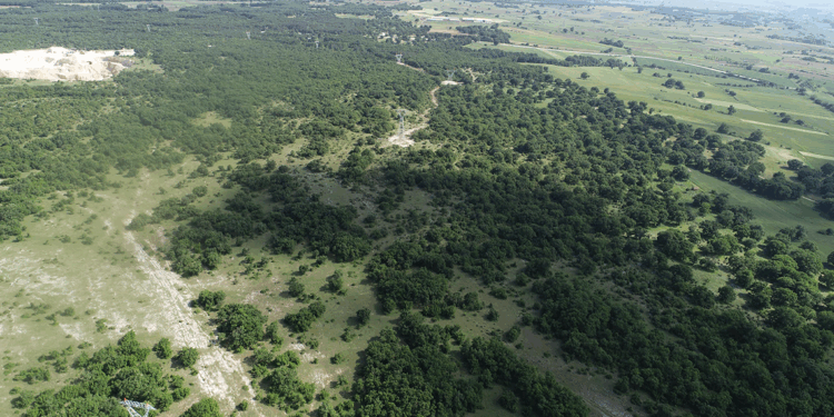 Kırklareli'nde ormanlara girişler yasaklandı