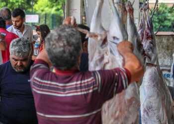Kurban Bayramı yaklaşırken 'salmonella bakterisi'ne dikkat