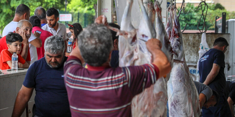 Kurban Bayramı yaklaşırken 'salmonella bakterisi'ne dikkat