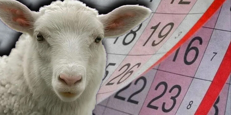 Kurban bayramı tatili uzatılmadı