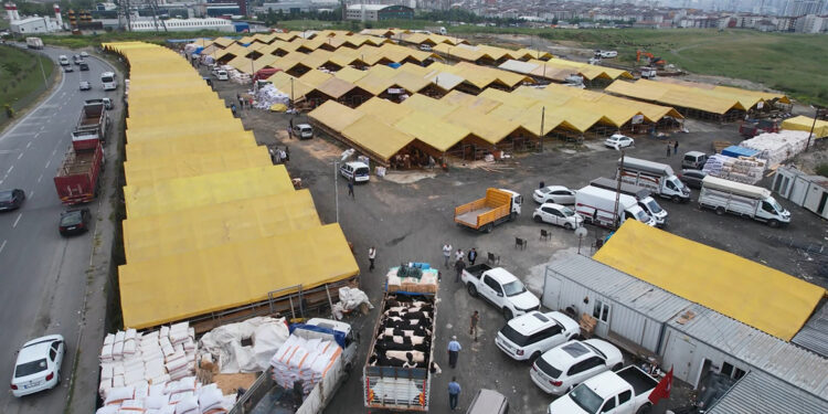 Kurbanlıklar İstanbul'a geldi; ilk satışlar yapıldı