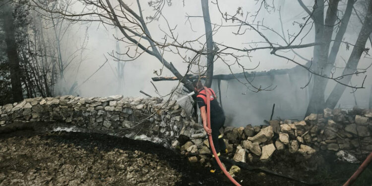 Kütahya'da 4 kümes yandı; 100 tavuk öldü