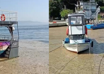 Gemlik Körfezi müsilajla kaplandı