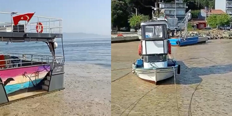 Gemlik Körfezi müsilajla kaplandı