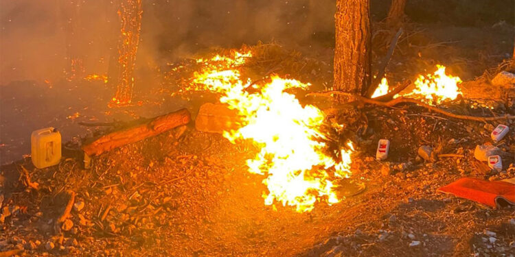 Tarsus'ta çıkan orman yangını kontrol altına alındı