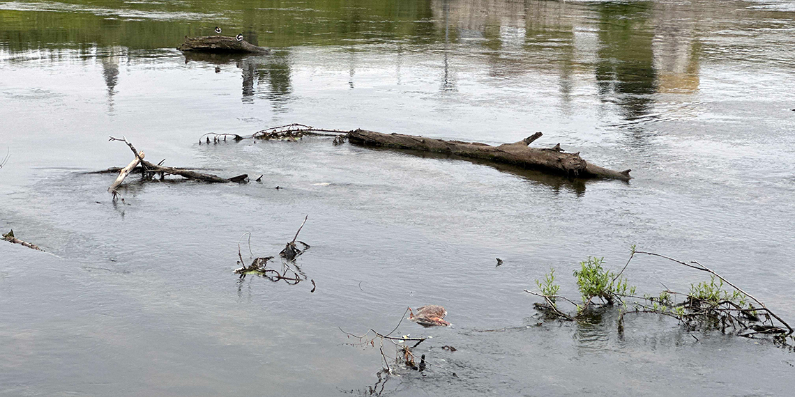 Meteorolojik kuraklık artık fizyolojik kuraklığa dönüştü