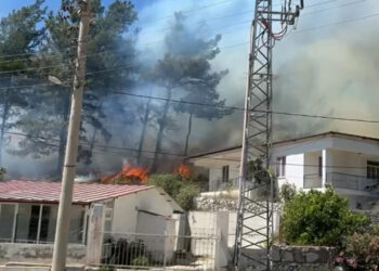 Muğla'da yerleşim alanında orman yangını