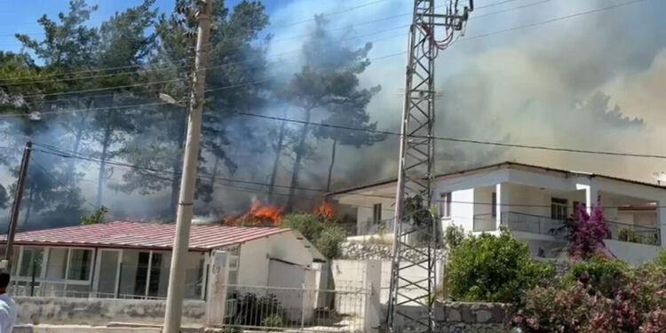 Muğla'da yerleşim alanında orman yangını