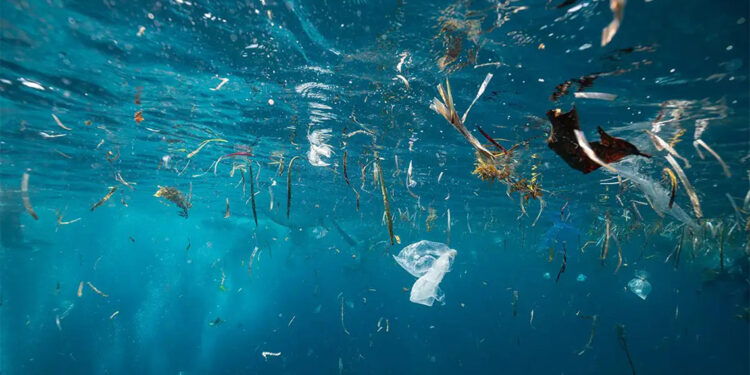Mikroplastik kirliliği okyanusun tüm katmanlarına yayıldı