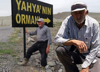 'Orman Dede' elleriyle kurduğu ormana defnedildi