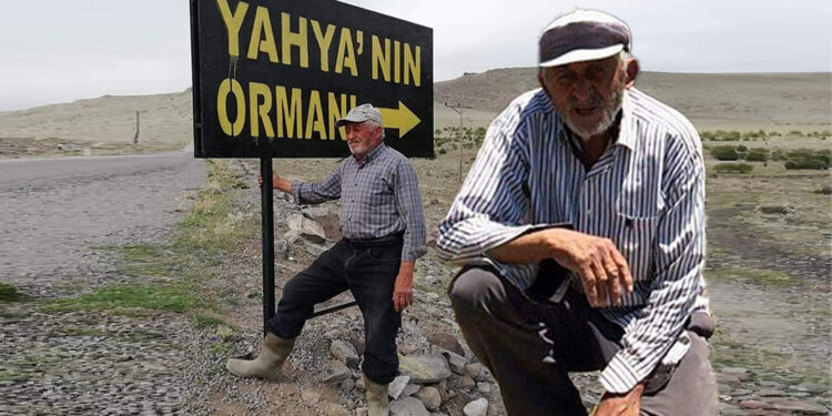 'Orman Dede' elleriyle kurduğu ormana defnedildi