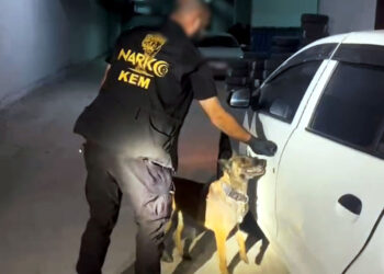 Narkotik köpeği Gill 3 kişiyi tutuklattı