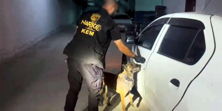 Narkotik köpeği Gill 3 kişiyi tutuklattı