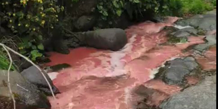 Rize'de rengi kırmızıya dönen derede inceleme