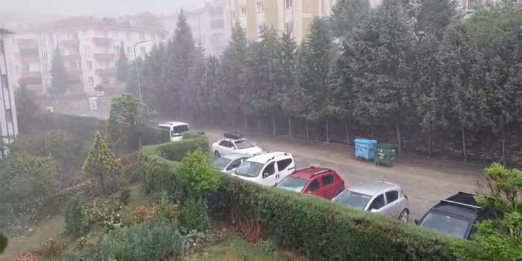 Sakarya'da iki mevsim bir arada yaşandı