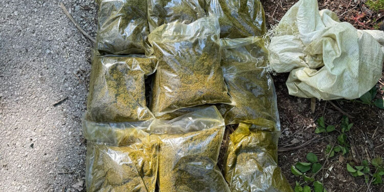 Sakarya'da uyuşturucu operasyonu; 4 gözaltı