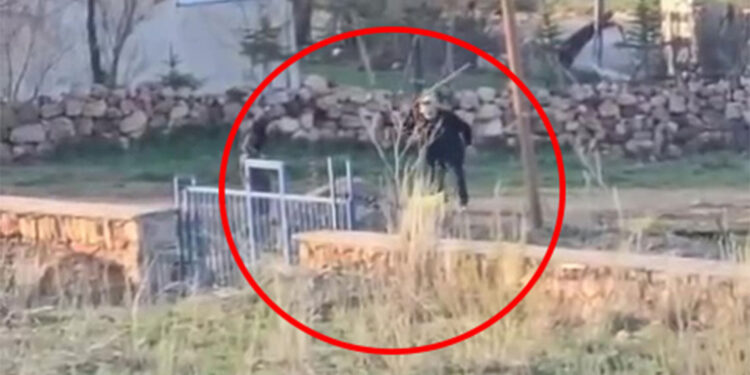 Sopalı şiddete uğrayan eşek öldü, hayvanseverler tepkili